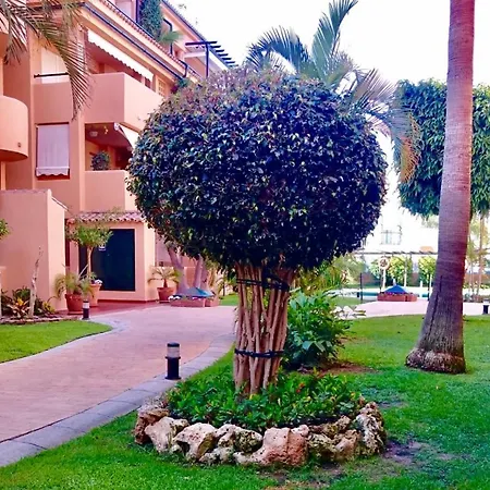- Alicate Beachfront - 5 Apartment Marbella