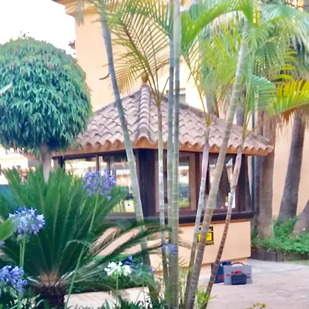 - Alicate Beachfront - 5