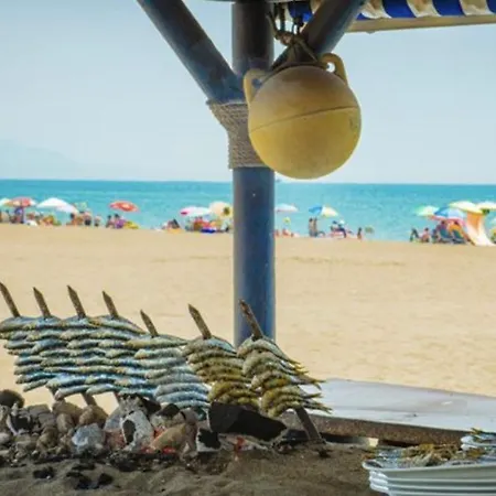 Apartment - Alicate Beachfront - 5 *