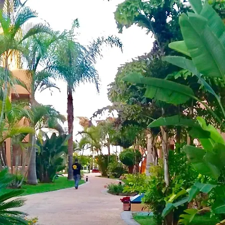 - Alicate Beachfront - 5 * Marbellac