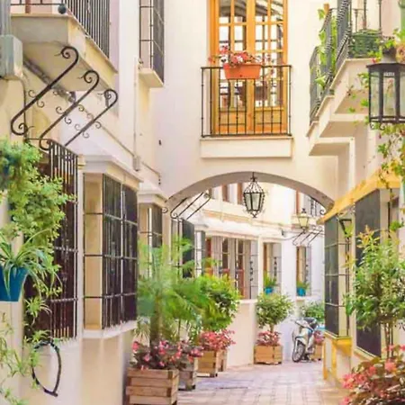 Appartement - Alicate Beachfront - 5 *