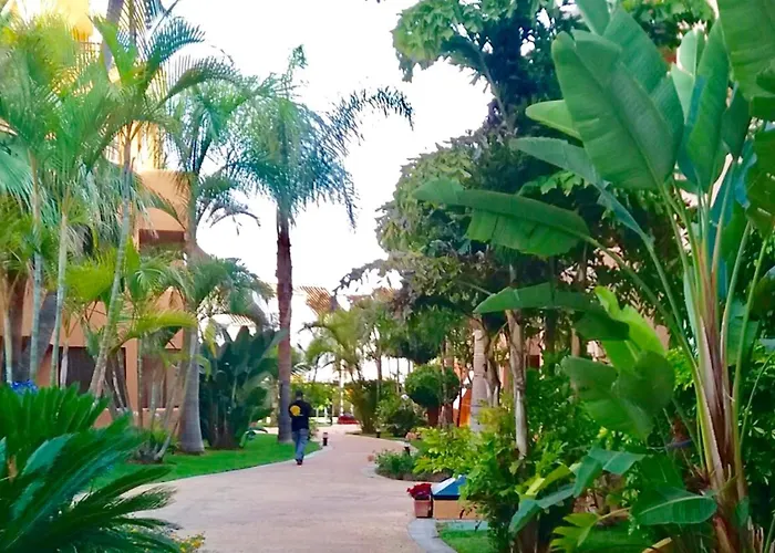 - Alicate Beachfront - 5 * Marbella