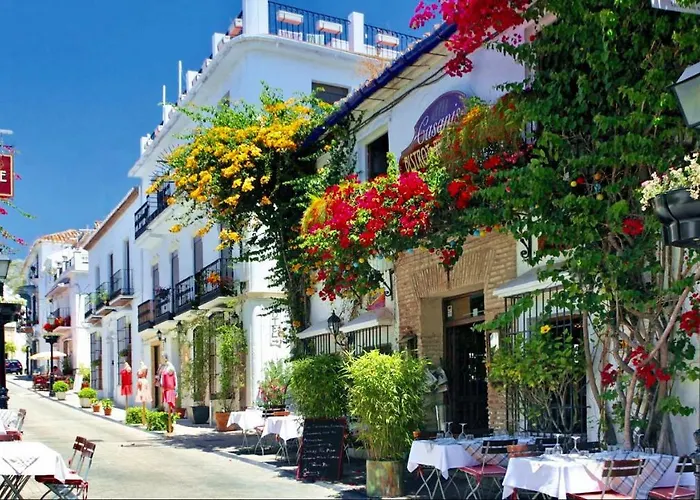 - Alicate Beachfront - 5 Apartament *