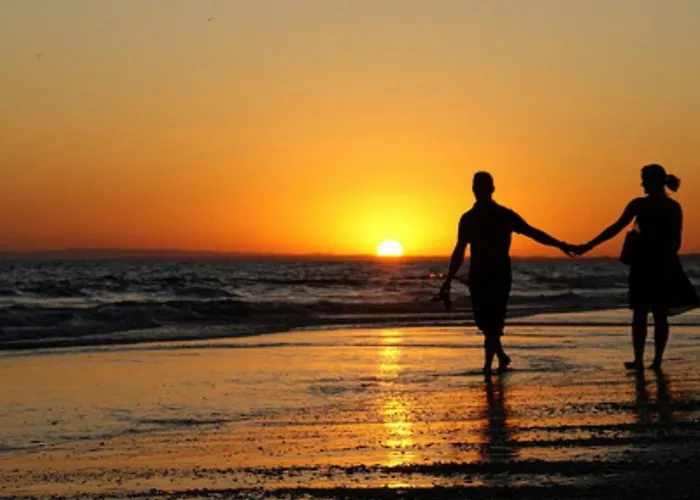 - Alicate Beachfront - 5 Apartament *