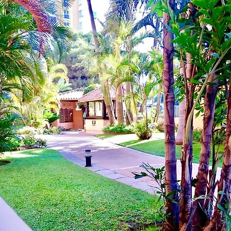 - Alicate Beachfront - 5 *