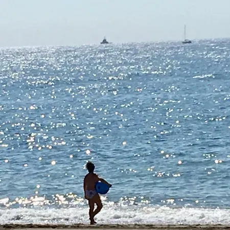 - Alicate Beachfront - 5 Lejlighed