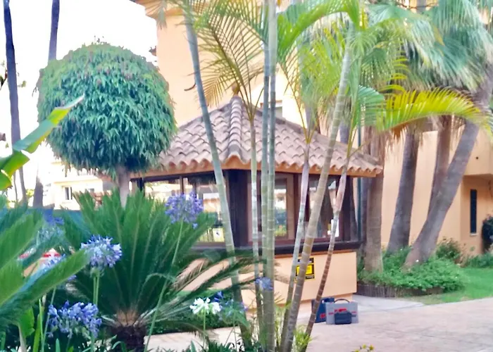 - Alicate Beachfront - 5