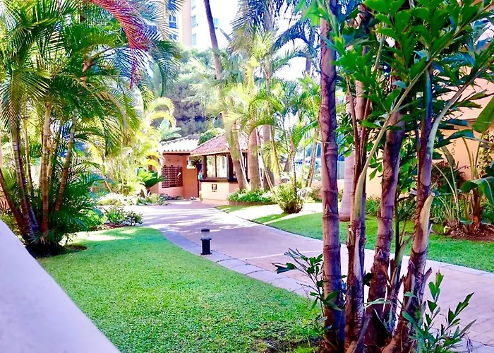 - Alicate Beachfront - 5 *